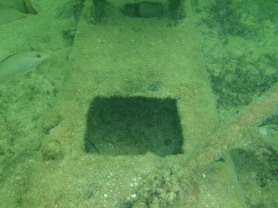 Illegal Florida Lobster Habitat Metal Box.jpg