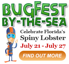 bugfest-byu-the-sea.png