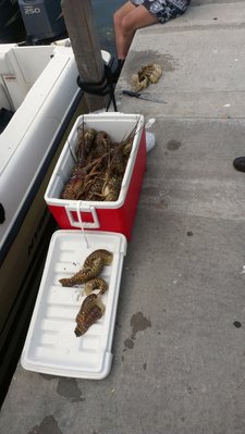 2012 lobster Catch.jpg