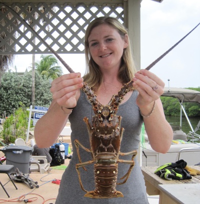 spiny lobster migration