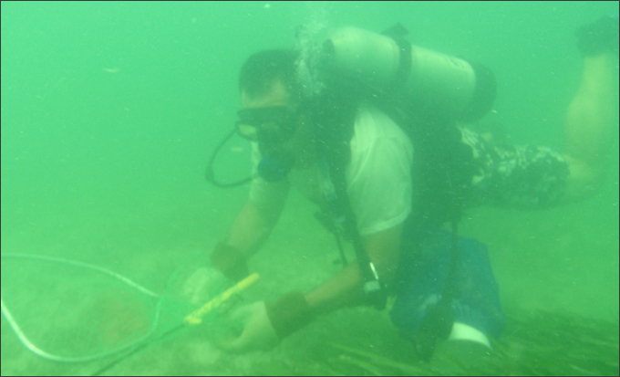 Lobster Tickle Sticks for Florida Lobstering